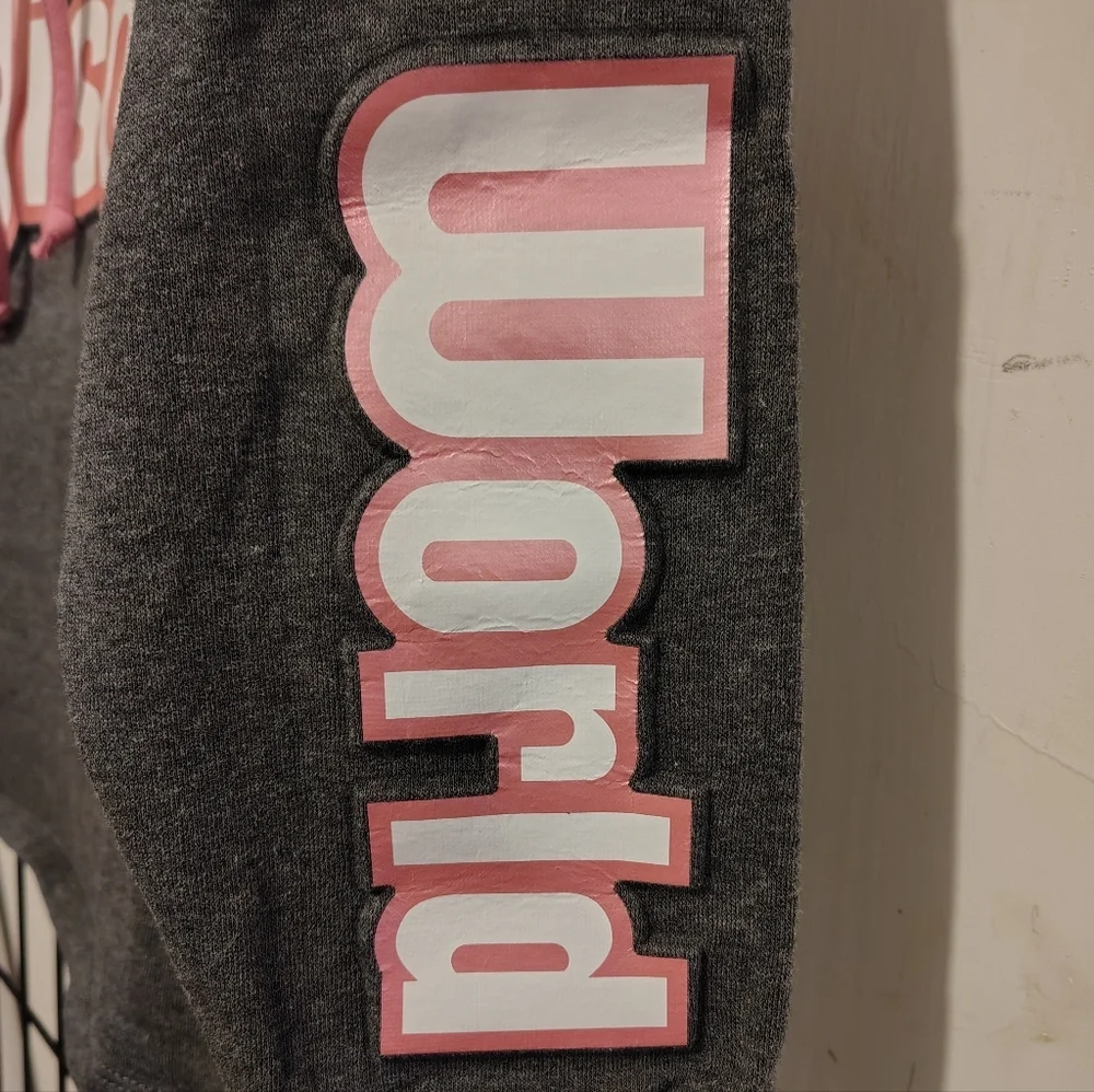 Walt Disney World Spirit Pink Gray Hoodie - Picture 4 of 9